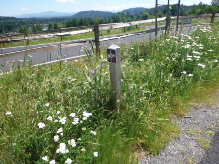 There are designated horse trails and trailer parking There are designated horse trails and trailer parking